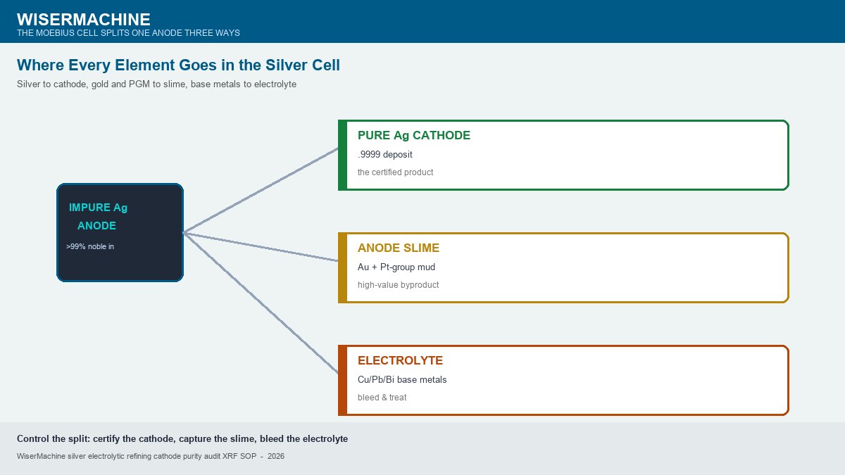 Moebius cell three-way split diagram showing one impure silver anode of more than ninety-nine percent noble metal splitting into pure silver cathode at point nine nine nine nine as the certified product, anode slime of gold and platinum-group mud as the high-value byproduct, and electrolyte carrying copper lead and bismuth base metals to be bled and treated, with the guidance to control the split by certifying the cathode capturing the slime and bleeding the electrolyte